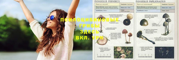 дурь Балабаново
