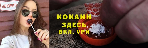 дживик Балахна