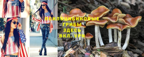 дживик Балахна