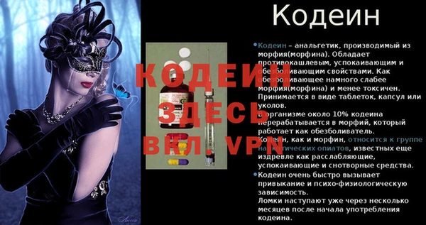 дживик Балахна